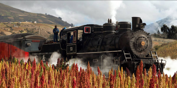 Tren Crucero exterior Ecuador