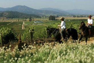 Wine_Route_Casablanca_Valley_Chile