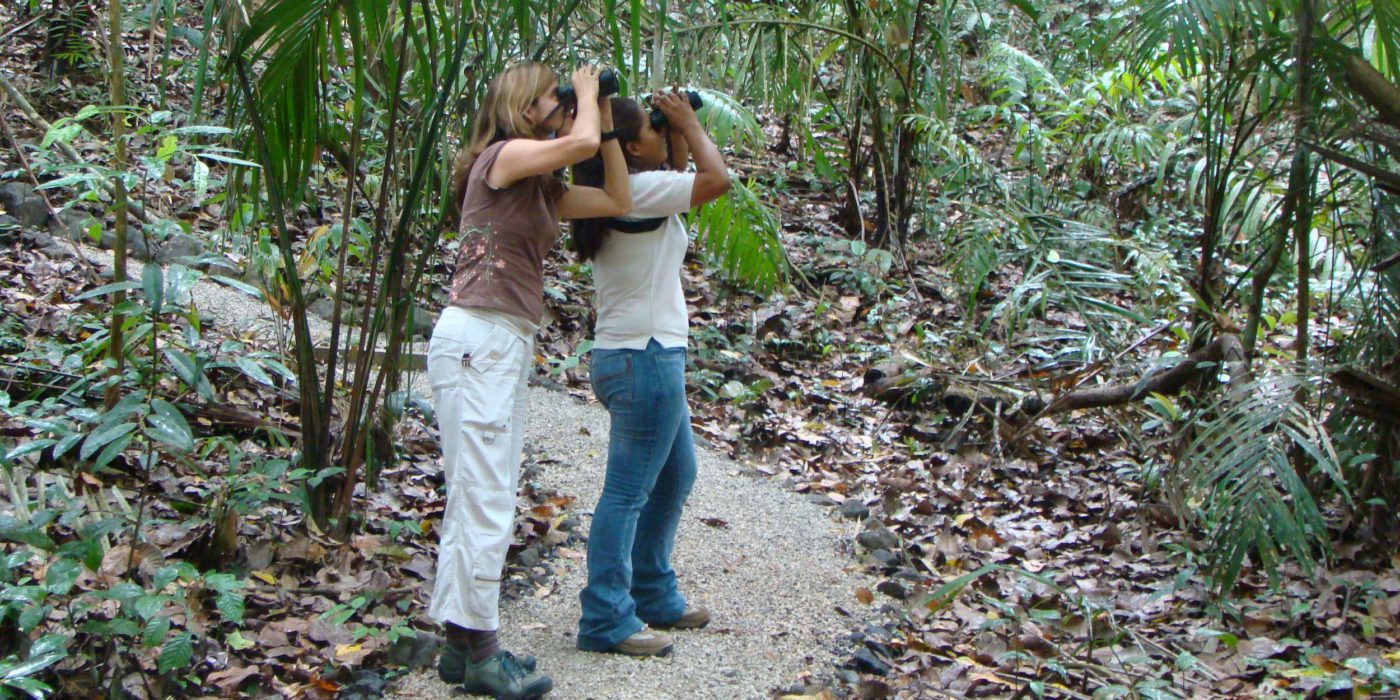 Rainforest-wildlife-spotting-Panama