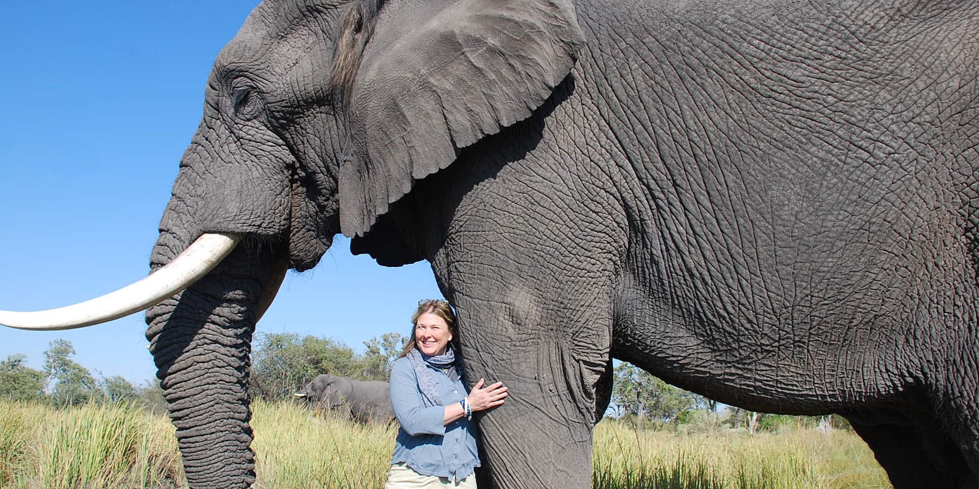 Walk with Elephants Botswana | Yampu Tours