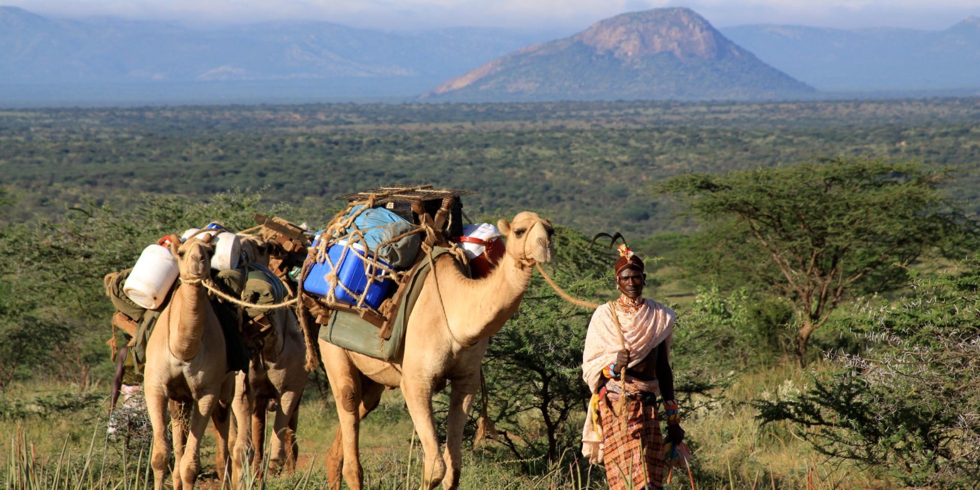 camel walk tours