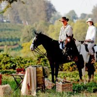 horse_riding_to_picnic