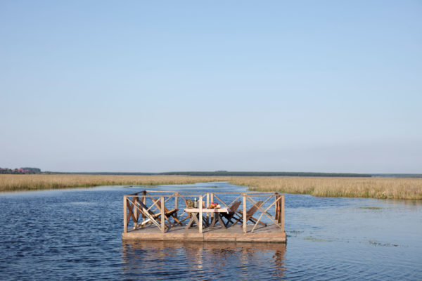 ibera-wetlands