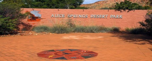 alice springs desert park tour